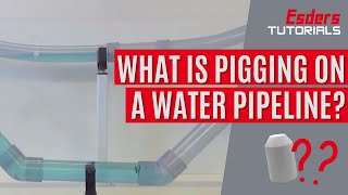 What is pigging on a water pipeline [upl. by Eirhtug]