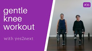 GENTLE KNEE WORKOUT  Seniors Beginner Exercisers [upl. by Rodrick]