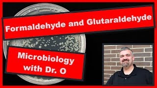 Formaldehyde and Other Alkylating Agents Microbiology [upl. by Giuliana]