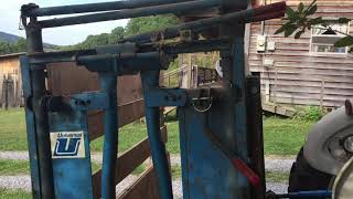 Cattle chute and head gate [upl. by Moonier]