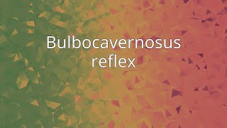 Bulbocavernosus reflex [upl. by Keli]