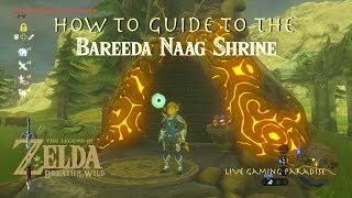 Breath of the Wild  Bareeda Naag Shrine Guide and Location [upl. by Affay]