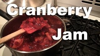 Cranberry Jam Recipe  How To Cook Cranberries  GardenFork [upl. by Ennoirb]