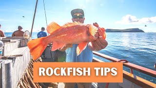 Rockfish Fishing Tips  Deep Sea Fishing in Southern California amp Orange County [upl. by Telimay]