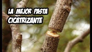 Como Hacer Pasta Cicatrizante Casera  Paso a Paso [upl. by Akired]