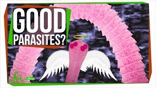 Why You Might Want Parasitic Worms [upl. by Nnahgiel]