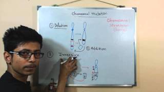 Chromosomal mutations  deletion mutation [upl. by Ingrid]