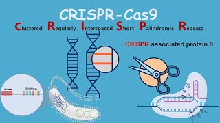 Bacterial Adaptive Immunity with CRISPRCas9 [upl. by Fredek]