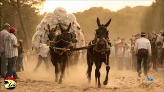 SEVILLANAS ROCIERAS COSITAS DEL ROCIÓ SEVILLANAS CAMINOS POR LA RAYA MEJORES OLEE  Video Oficial [upl. by Allenaj]