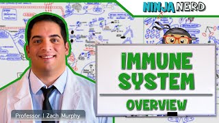 Immunology  Immune System Overview [upl. by Assiralk]