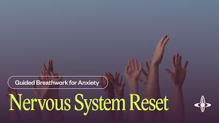 Nervous System Reset  Guided Breathwork 22 minutes [upl. by Cathie385]