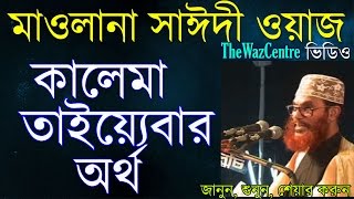 Bangla Waz Delwar Hossain Saidi কালেমা তাইয়েবার অর্থ। [upl. by Lorry]