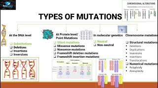 Mutations And Types Of Mutations [upl. by Limak]