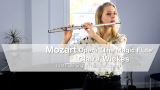 Mozarts Magic Flute Opera flute solos [upl. by Ayifa]