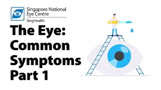 Common Eye Symptoms Part 1 Blurred Vision Cloudy Vision Halos and Glare [upl. by Chute]