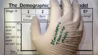 Demographic Transition Model overview  AQA GCSE Geography  3221 [upl. by Nyleda]