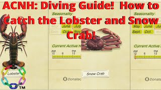 ACNH Diving Guide How to Catch the Lobster and Snow Crab [upl. by Nailuj]