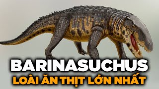 BARINASUCHUS  ĐỘNG VẬT ĂN THỊT LỚN NHẤT TRÊN CẠN SAU KHI KHỦNG LONG TUYỆT CHỦNG [upl. by Eissel]