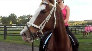 Horse Riding with Taylor Swift [upl. by Qifar904]