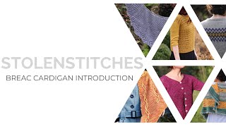 Learn to knit your First Top Down Cardigan [upl. by Puritan]