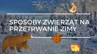 Sposoby zwierząt na przetrwanie zimy [upl. by Circosta]