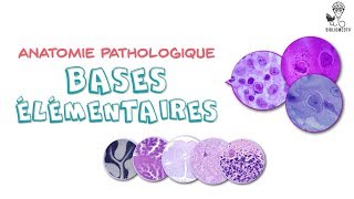 Anatomie Pathologique  Bases élémentaires [upl. by Htennaj]