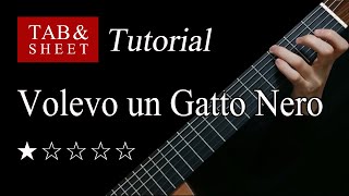 Volevo un Gatto Nero  Fingerstyle Lesson  TAB [upl. by Brawner829]