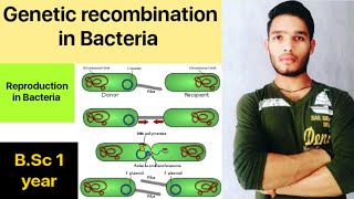 Reproduction in Bacteria  Genetic recombination in Bacteria [upl. by Eenal722]