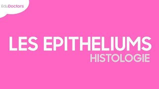 Les épithéliums  Histologie [upl. by Joelie]