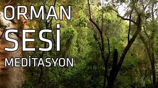 Orman ve Doğa Sesi Meditasyon I Rahatlatıcı Müzik [upl. by Mandy]