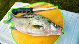 White Bass CATCH CLEAN COOK So Delicious [upl. by Neelasor242]