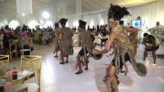 Zimbabwe Traditional Dance Performance  Wedding [upl. by Tedie]