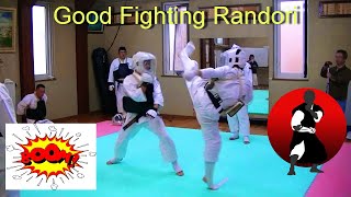 Shorinji Kempo JAPAN Good fighting randori [upl. by Noxin]