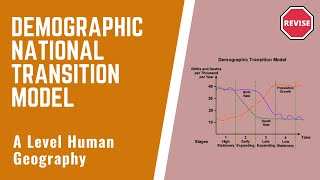 A Level Human Geography  The Demographic Transition Model [upl. by Anawd]