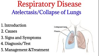 Atelectasis  Introduction causes signs ampsymptoms diagnosis and treatment  Respiratory disease [upl. by Olfe]