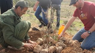 Consejos para plantar árboles en zonas áridas [upl. by Oeram]