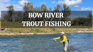 Incredible Bow River Trout Fishing [upl. by Gail]