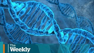 Can DNA from genealogy sites solve murder cases [upl. by Abdu]