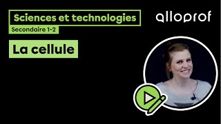 La cellule  Sciences et technologies  Alloprof [upl. by Nigel]