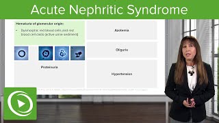 Acute Nephritic Syndrome Fundamentals – Nephrotic Syndrome  Lecturio [upl. by Ytisahcal862]