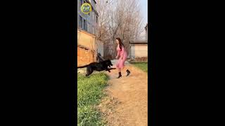 TikTok Funny Moments Compilation [upl. by Pernick]