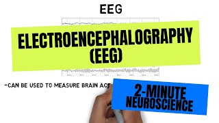 What does the EEG reveal about the brain   Health Channel [upl. by Aivatco819]