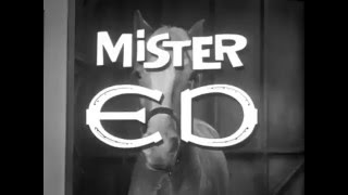 Mister Ed 1961  1966 Opening and Closing Theme With Snippet [upl. by Ferree443]