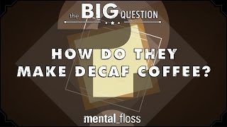 How Do They Make Decaf Coffee  Big Questions  Ep1 [upl. by Lorin]