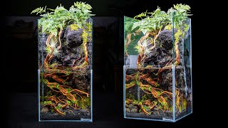 DIY Skyscraper Paludarium With Moss Waterfall [upl. by Loy]