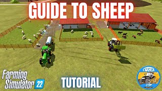 GUIDE TO SHEEP  Farming Simulator 22 [upl. by Amyaj]