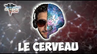 ANATOMIE  LE CERVEAU 🧠 [upl. by Timothee124]