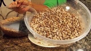 How to Make Delicous Pinto Beans [upl. by Aivital72]