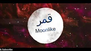 Qamarun Nasheed Lyrics Video Arabic amp English  Mouaz Al Nass  AMLLyrics [upl. by Schreibman]