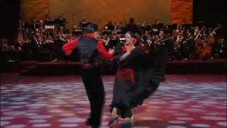 Christoph Kies und Blanca Ribas Turon  Dancing Espana Cani Paso Doble 2009 [upl. by Datnow]